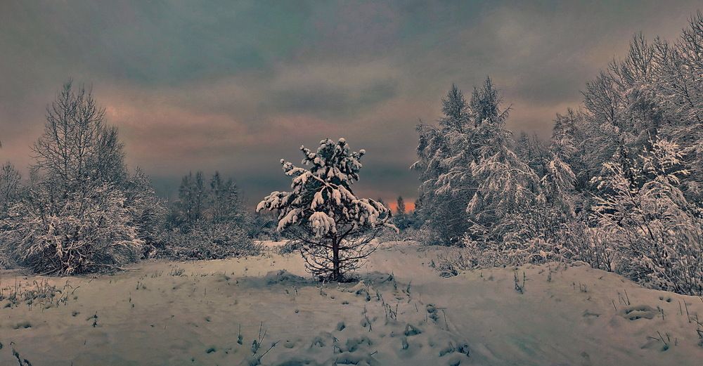 Photograph by вячеслав милов