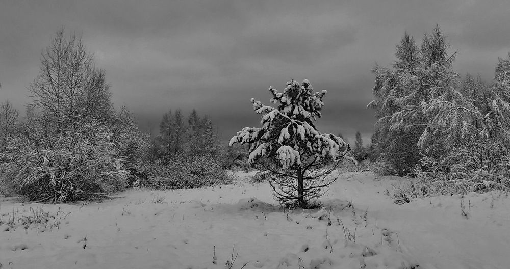 Photograph by вячеслав милов