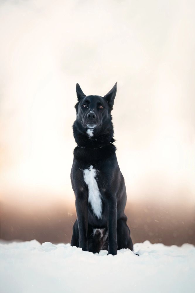 Photograph by Мария Романова