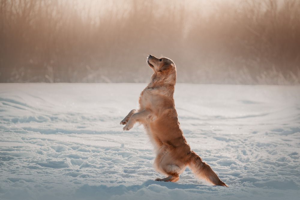 Photograph by Екатерина Котик