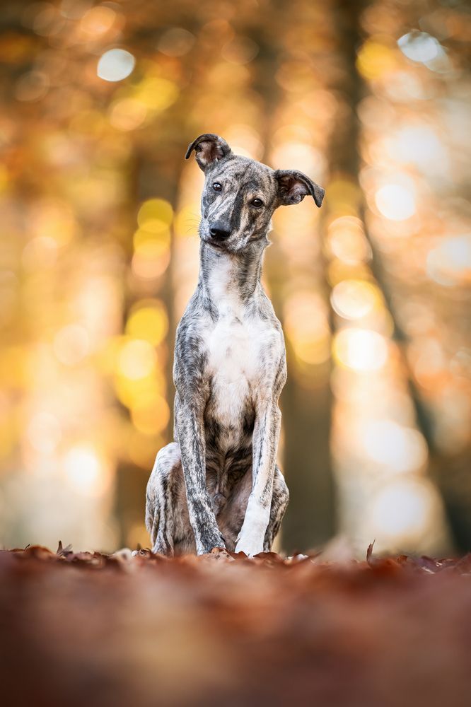 Photograph by Eva Bos