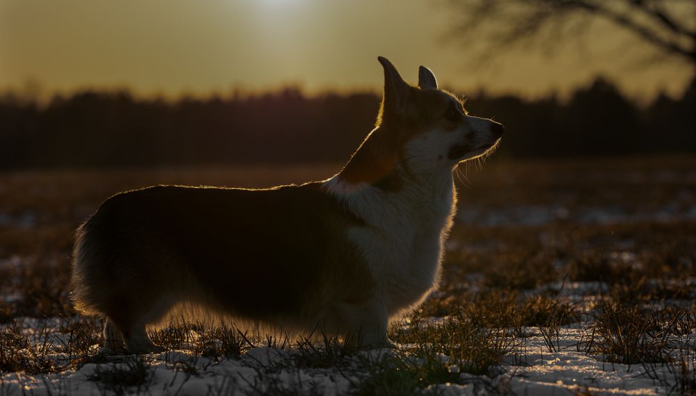 Photograph by Наталья Кирина