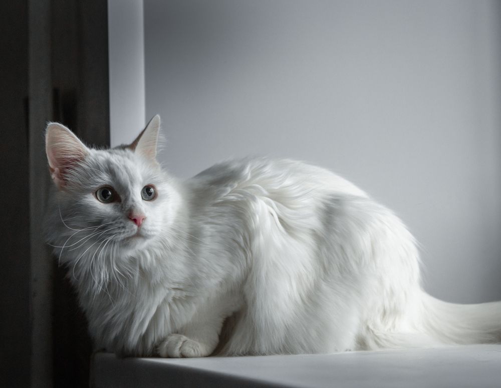 Photograph by Наталья Кирина