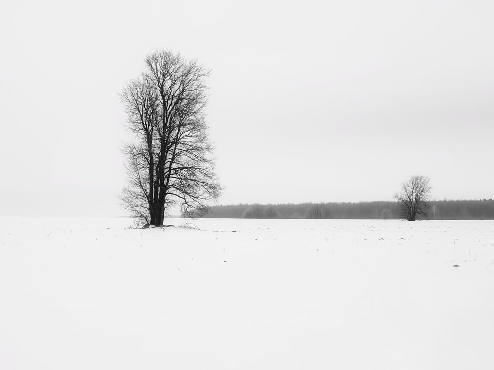 Photograph by Julia Andreeva