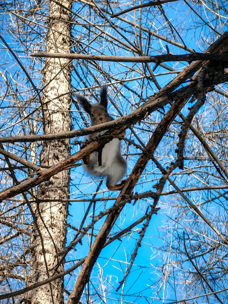 Photograph by Светлана Стефанович