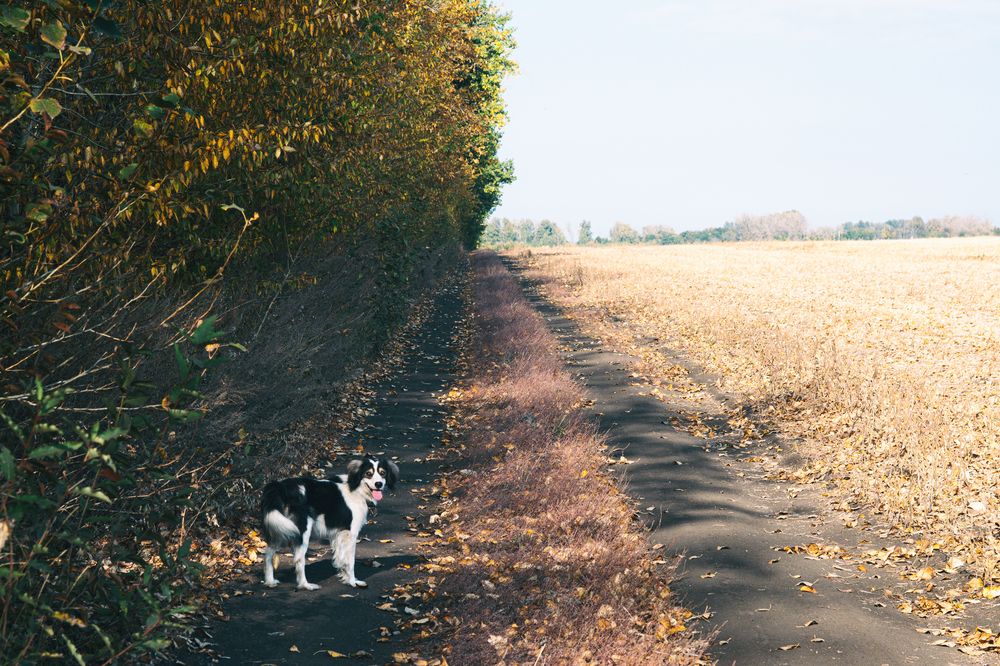 Фотография автора Максим Штормов