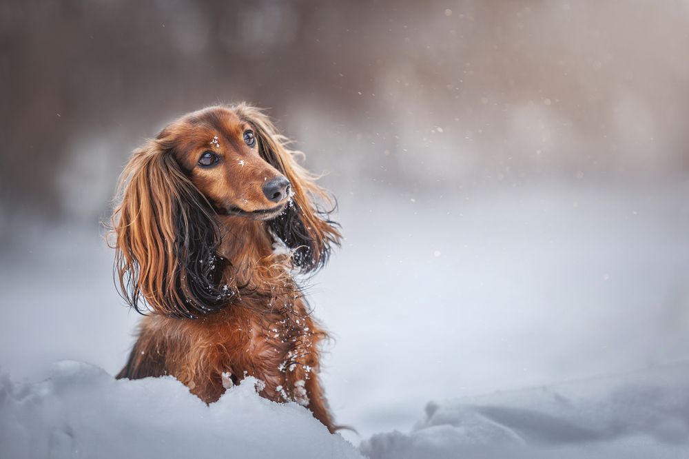 Photograph by Яна Нарбутович