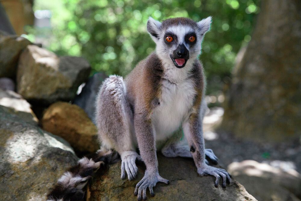 Photograph by Jannika Lindbohm