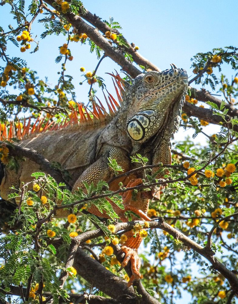 Photograph by bigu *