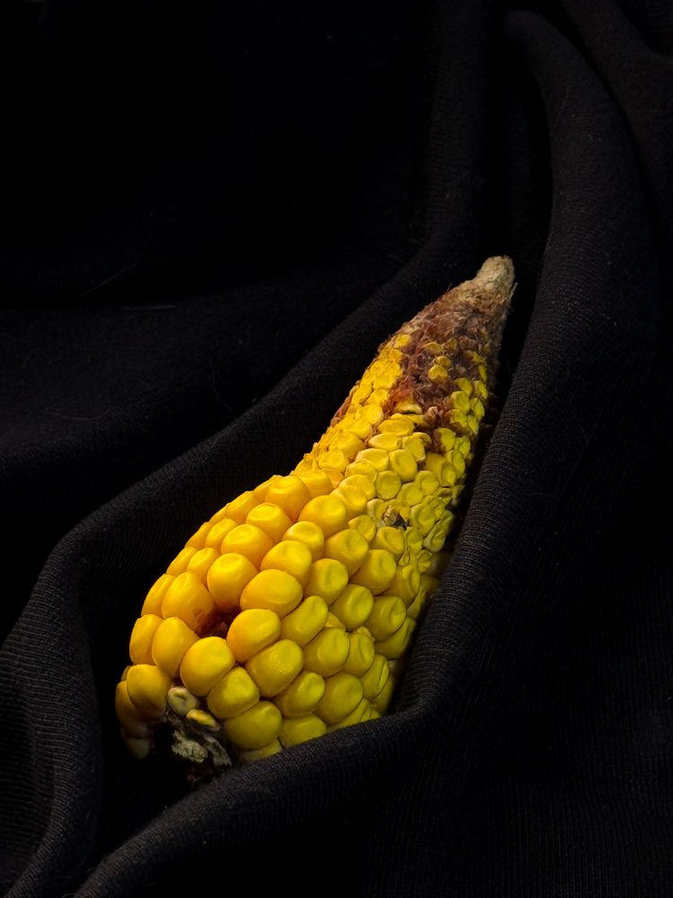 Photograph by Ирина Куренкова