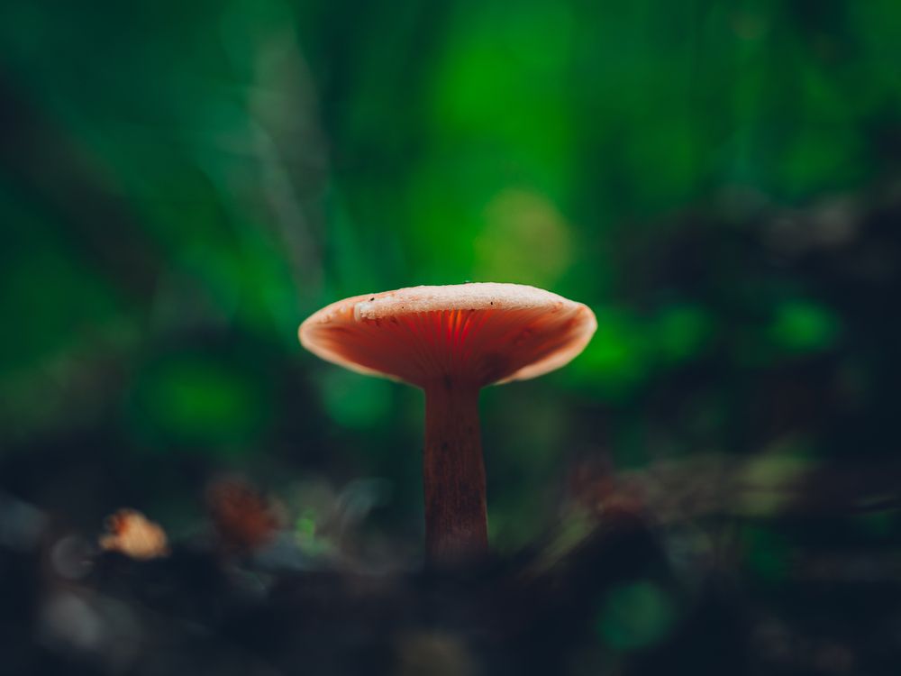 Photograph by Алексей Крылов