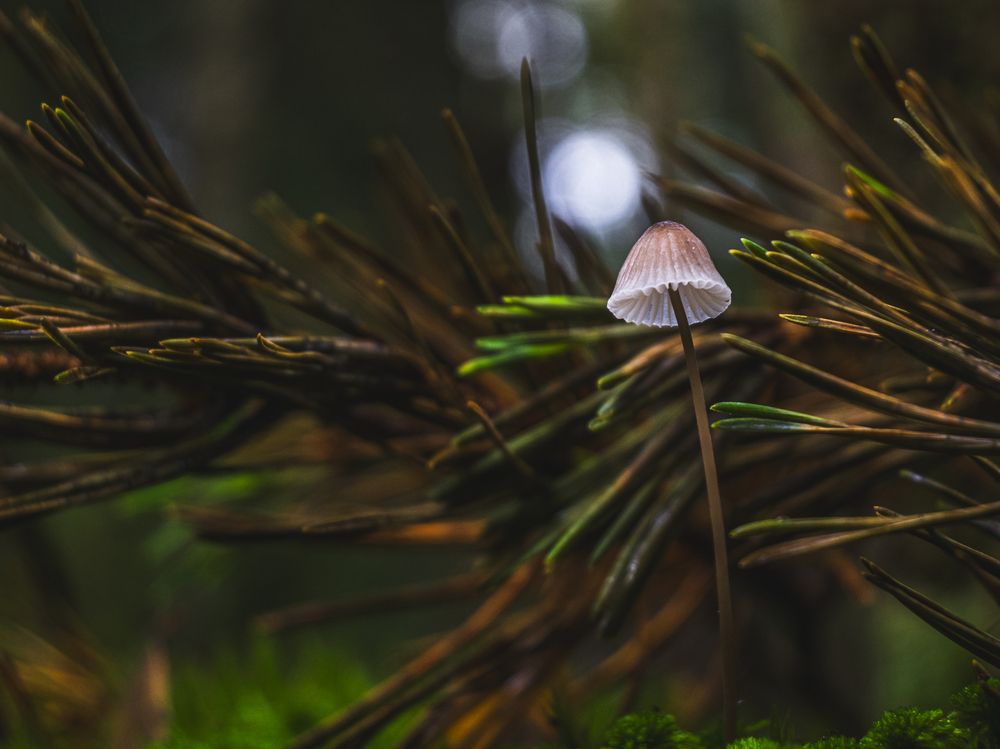 Photograph by Алексей Крылов