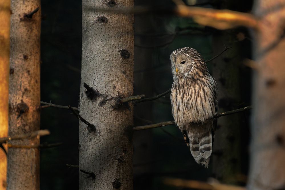 Photograph by Przemek