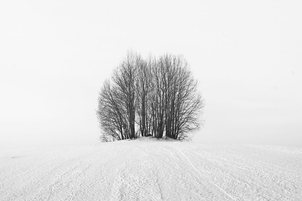 Photograph by Алексей Крылов