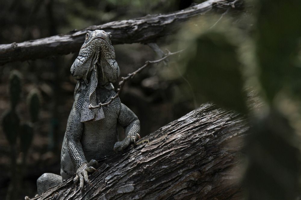 Photograph by Jannika Lindbohm