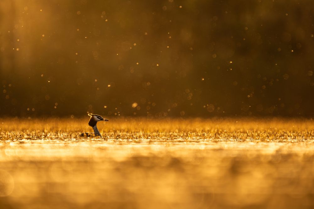 Photograph by Przemek