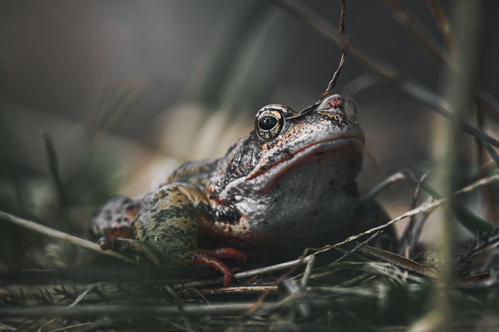 Photograph by Алексей Крылов