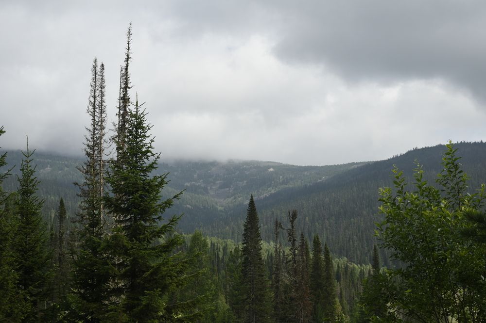 Photograph by Andreas Stroh