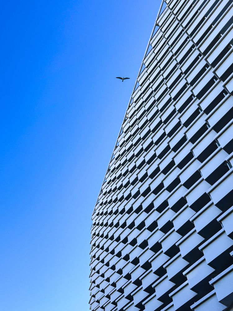 Photograph by Ирина Куренкова