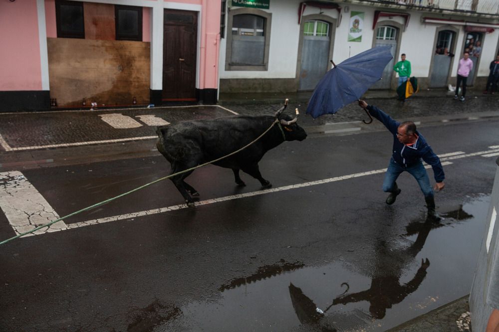 Photograph by Jannika Lindbohm