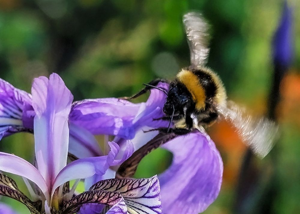 Фотография автора Ирина Гуськова