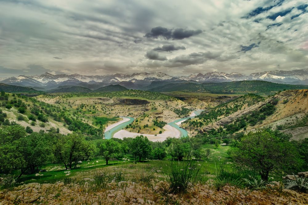 Photograph by Sepehrnikoobin