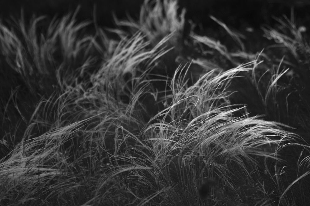 Photograph by Дерезюк Юрий Александрович