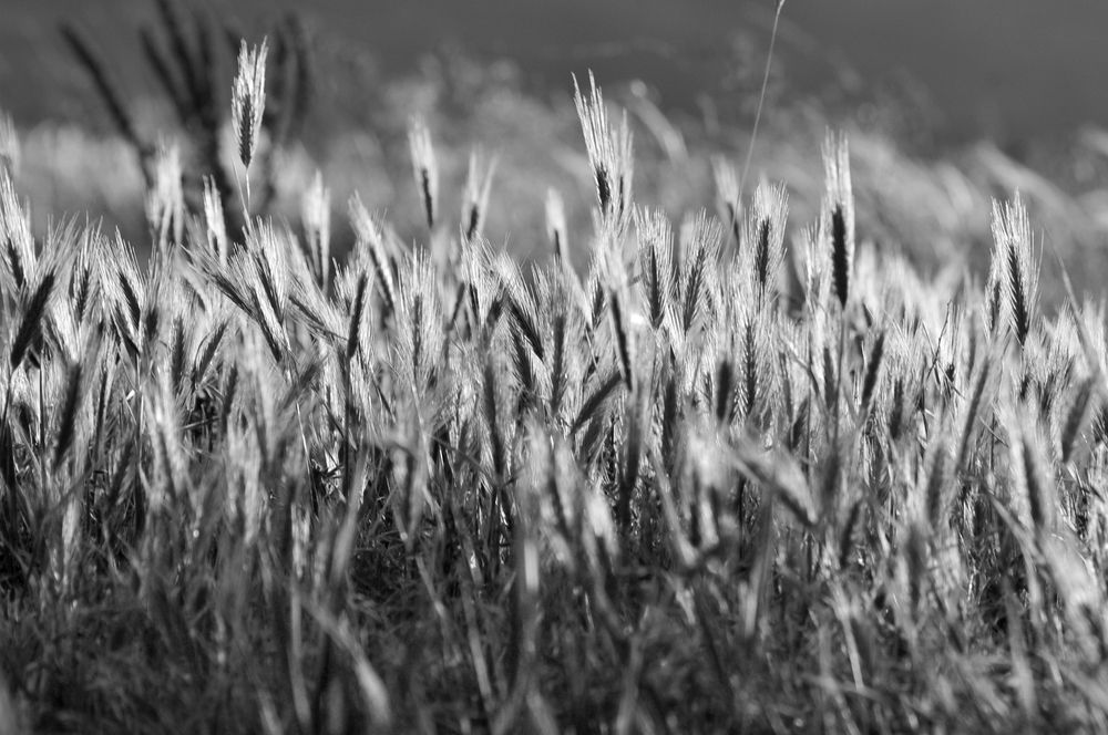 Photograph by Дерезюк Юрий Александрович