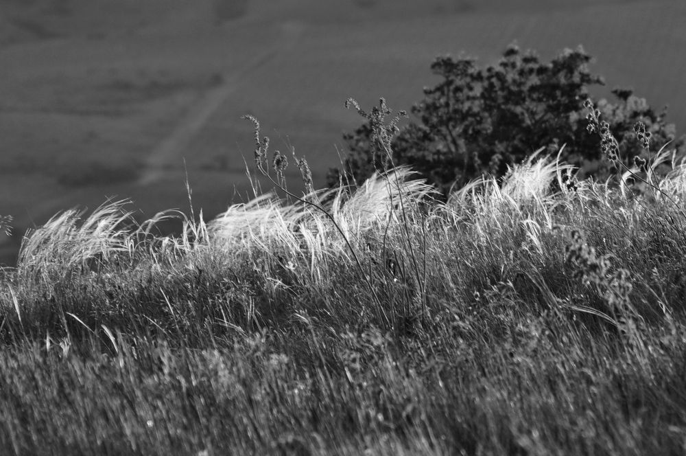 Photograph by Дерезюк Юрий Александрович