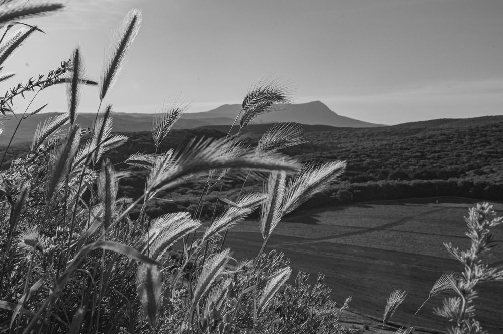 Photograph by Дерезюк Юрий Александрович