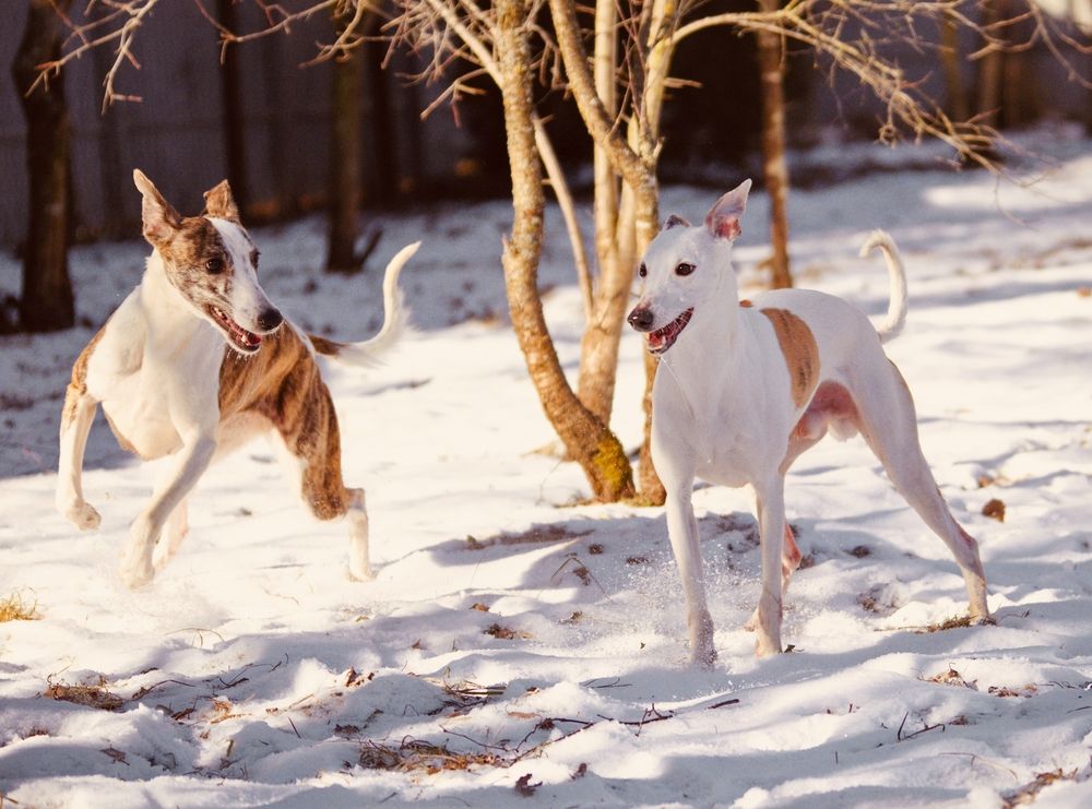 Photograph by Анастасия Рысь