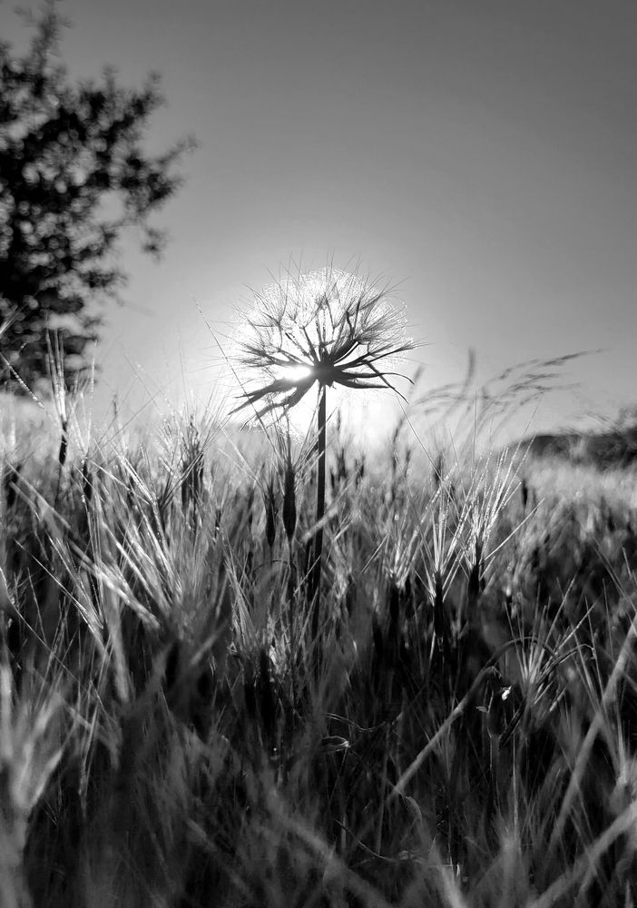 Photograph by Дерезюк Юрий Александрович