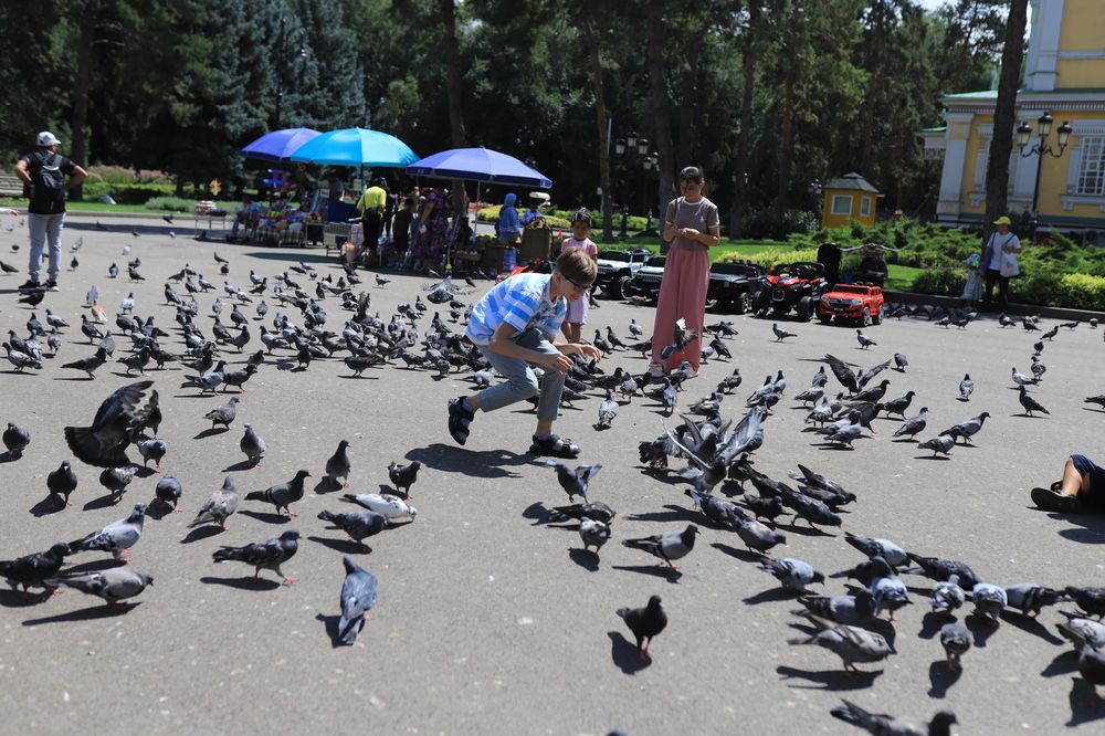 Photograph by Анна Виноходова