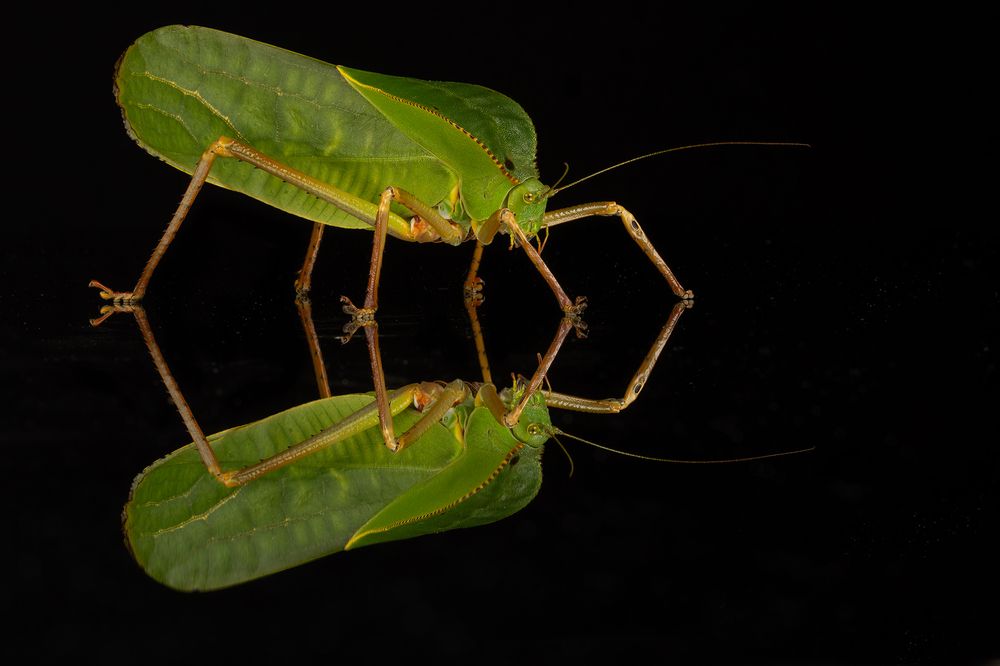 Фотография автора MARIA KULA