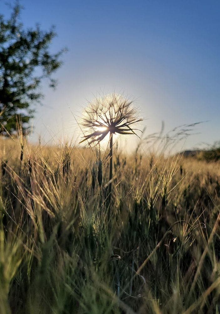 Photograph by Дерезюк Юрий Александрович
