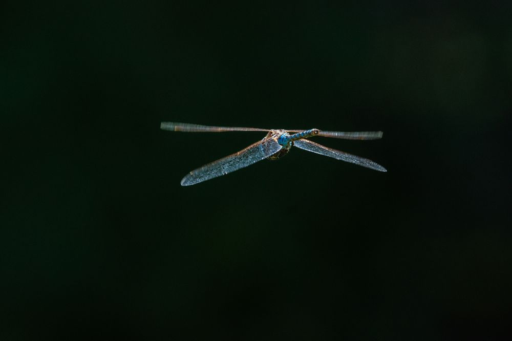 Photograph by Sandra Alvarez