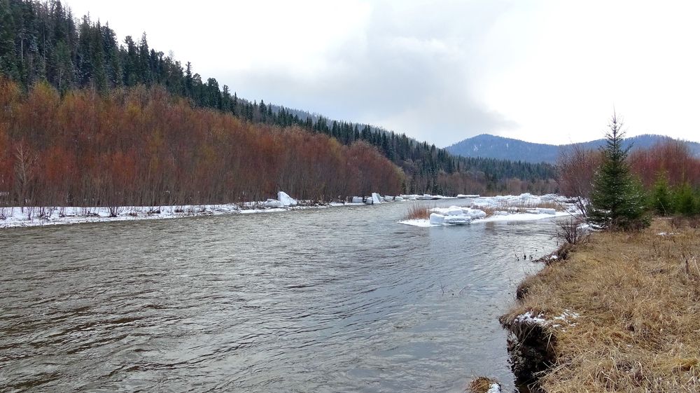 Photograph by Юрий Тимофеев