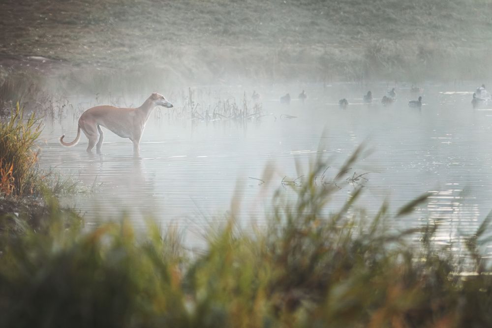 Photograph by Зубкова Юлия