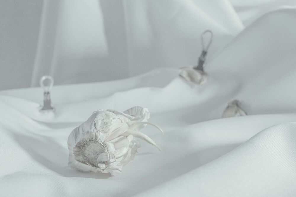 Фотография автора Екатерина Мартыненко