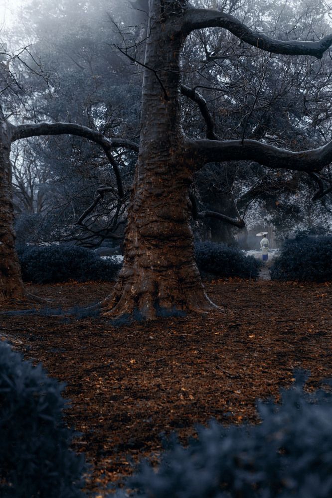 Photograph by taliana