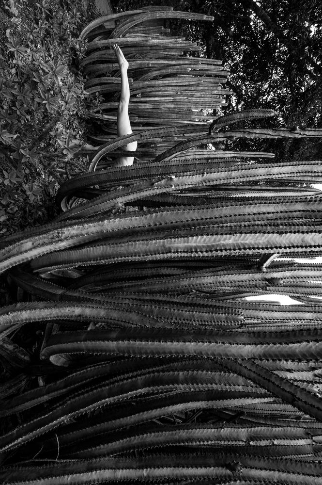 Photograph by Nika Marchi