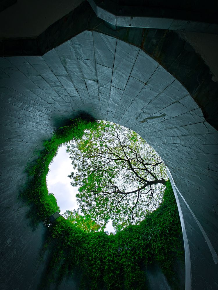 The aesthetic allure of a well