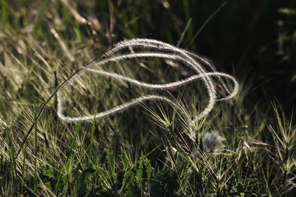 свет и воздух