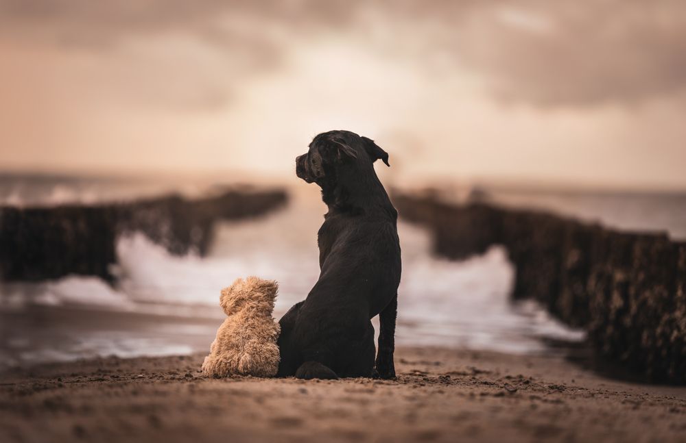 Photograph by Shanna van Mens