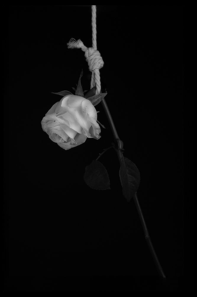 Photograph by NELSON VAZQUEZ