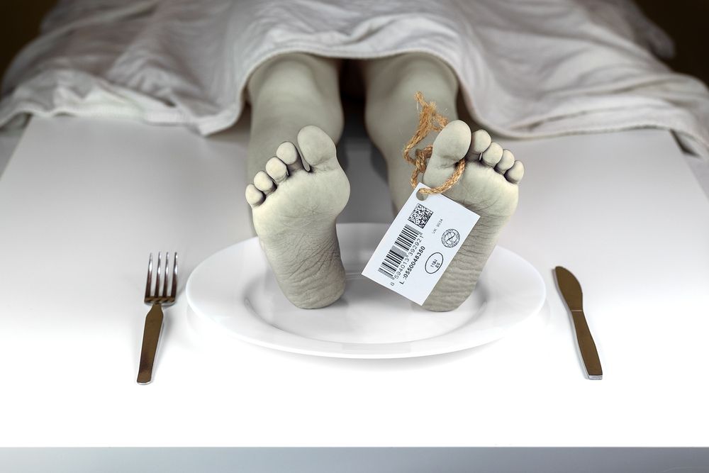 Photograph by Kveta Novotna