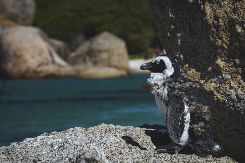 Photograph by Валентина Комарова