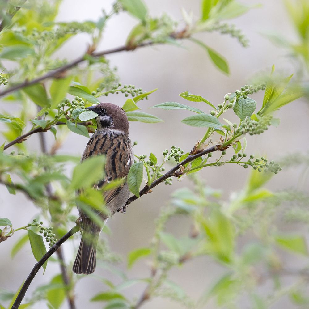 Photograph by Наталья