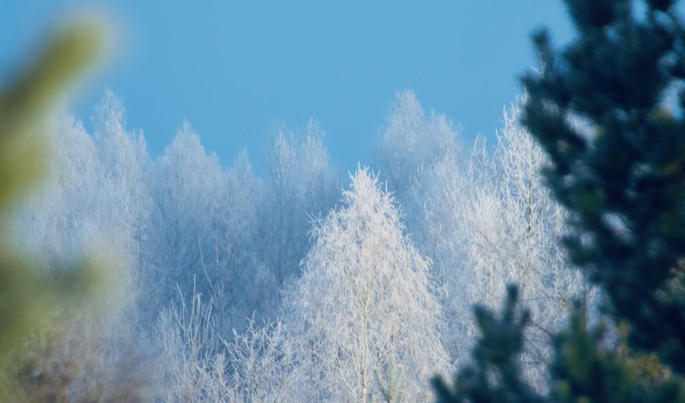 Photograph by Shu R1ck