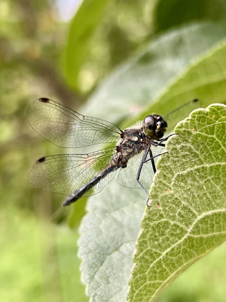 Photograph by Shu R1ck